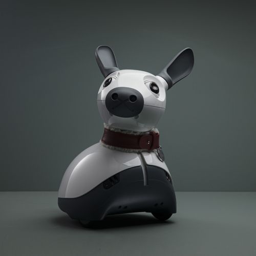 Photo of robot dog